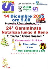 Natalizia Lungo il Reno