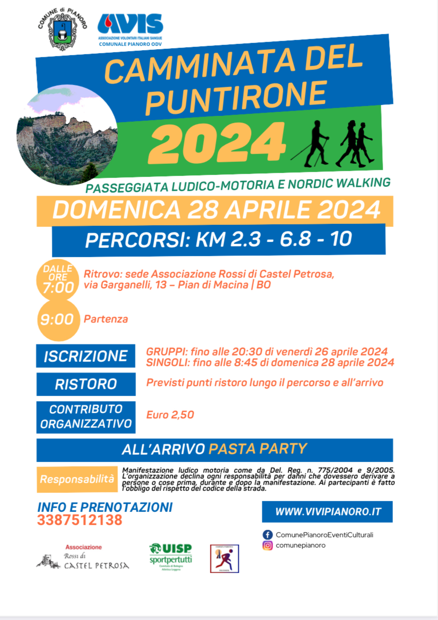 LOCANDINA CAMMINTA DEL PUNTIRONE FRONTE