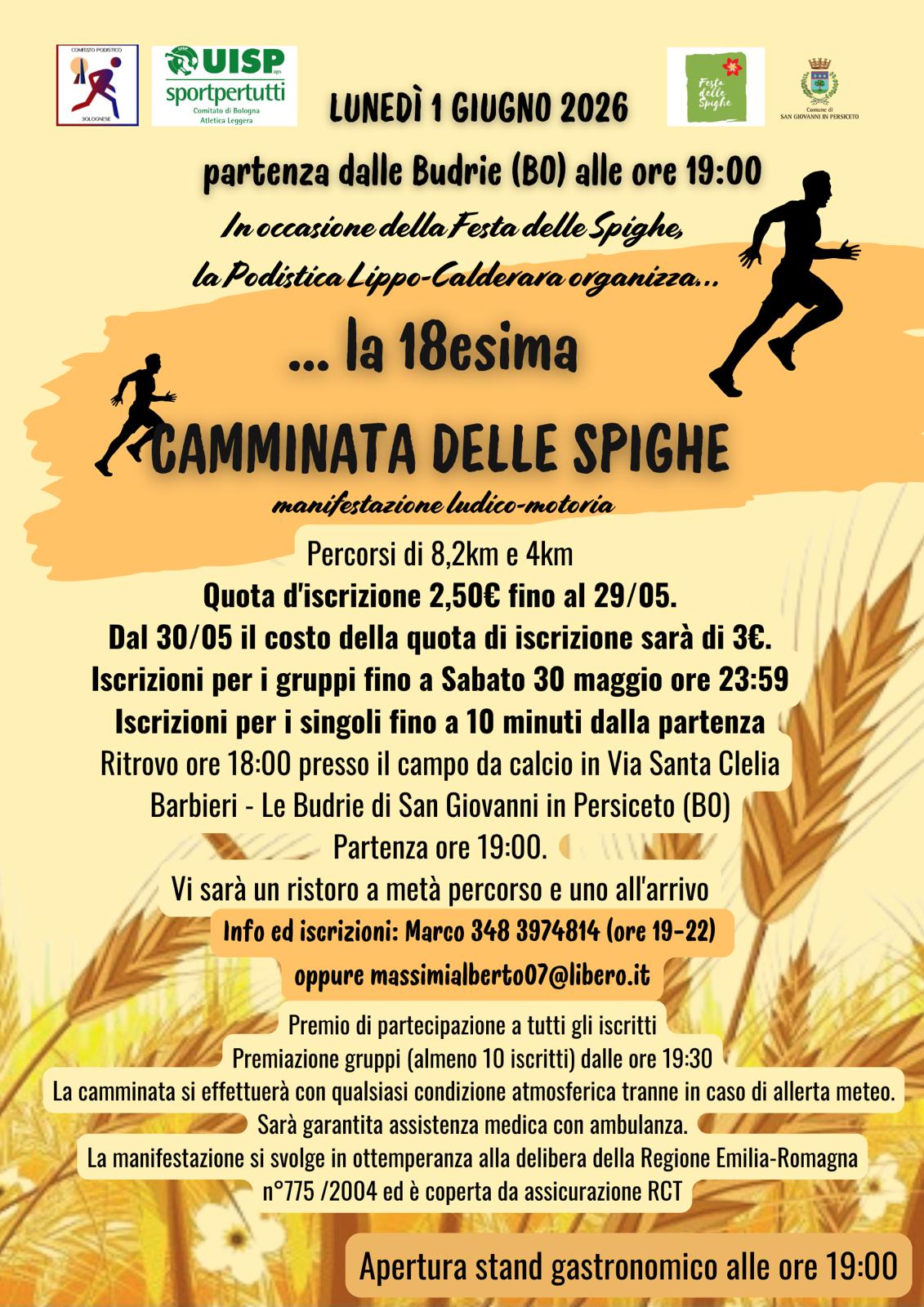 locandina camminta delle spighe